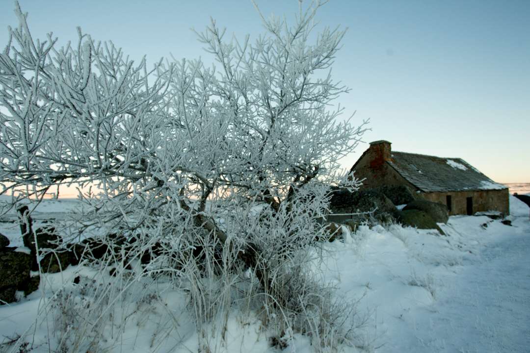 Paysage Paysage